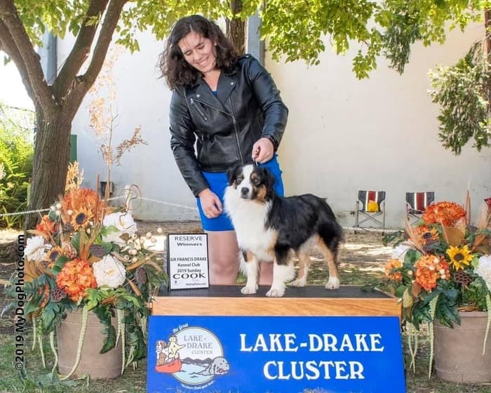 Alta Rider, foto 3